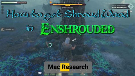 Enshrouded Shroud Wood: Best Early-Game Location and Tips