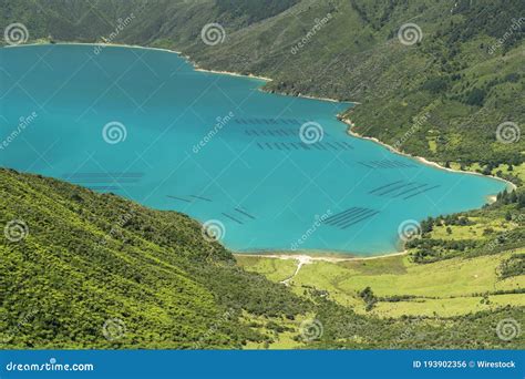 Beautiful Blue Lake Surrounded By Green Mountains In New Zealand Stock