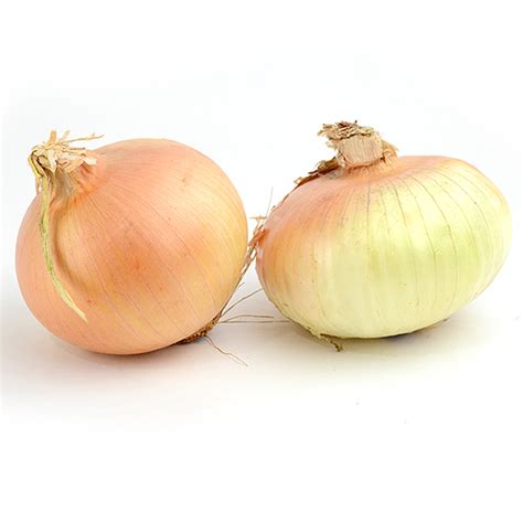 Local Yocal Farm To Market Texas Sweet Onions