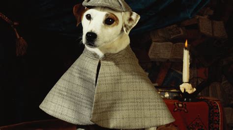 ‘wishbone Tv Show Facts Mental Floss