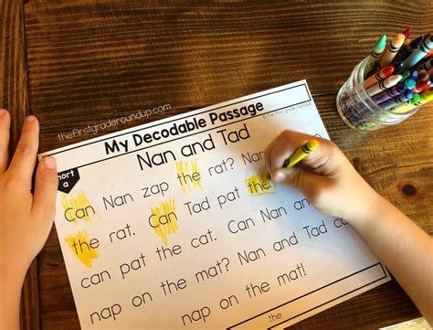 Really Great Reading Decodable Passages Pe