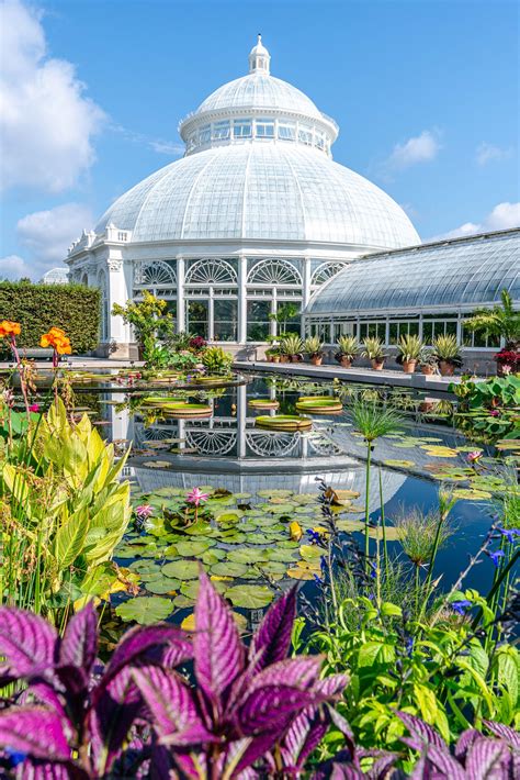 General Nybg Image Gallery New York Botanical Garden