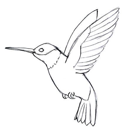 7 Hummingbird patterns ideas | hummingbird drawing, hummingbird, bird drawings