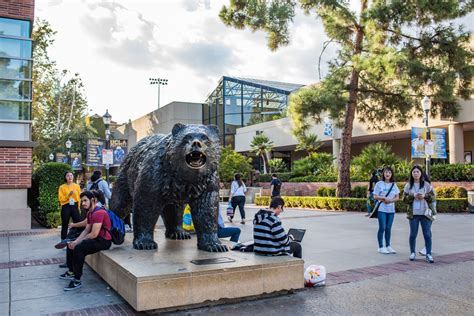 Ucla Acceptance Rate Everything You Should Know