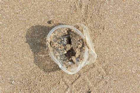 Photo Feature World Environment Day Sea Returns Trash In Mumbai