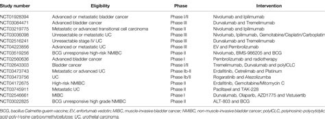 Frontiers Novel Combination Therapies For The Treatment Of Bladder Cancer