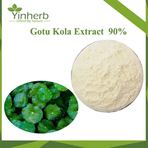 Yinherb Supply Natural Gotu Kola Extract Centella Hydrocotyle Asiatica