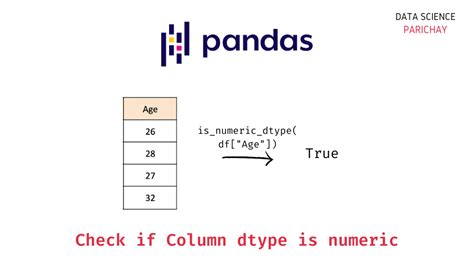 Pandas Check If Cell Is Empty List Catalog Library