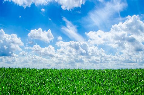 Fotos Gratis Naturaleza Césped Horizonte Nube Planta Cielo