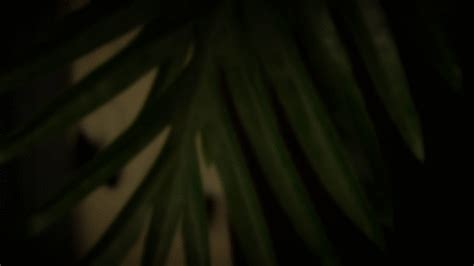 The Smoking Hot Wife Ruby Onyx Clips Sale