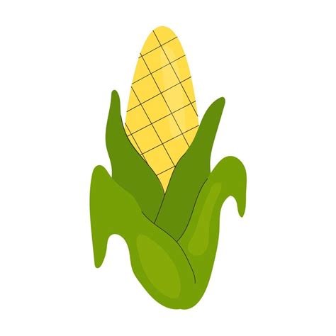 Simple Single Cute Corncob Healthy Food Vitamins Vegetables