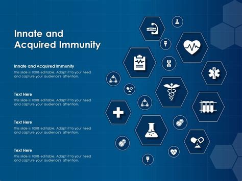 Innate And Acquired Immunity Ppt Powerpoint Presentation File Portfolio