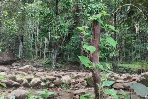 Berziarah Di Makam Syekh Abdul Jalil Destinasi Wisata Religi Di Garut