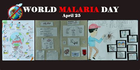 World Malaria Day Rrmch College