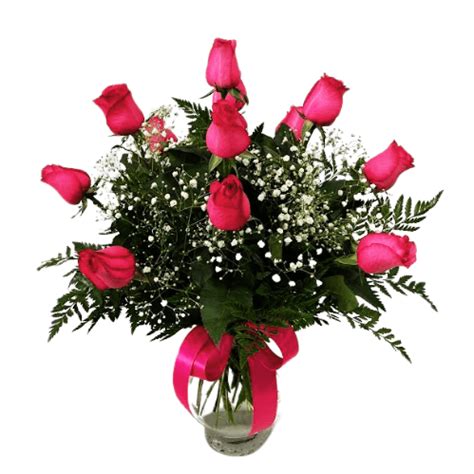 12 Hot Pink Roses R 222 Fiesta Flowers Plants Gifts