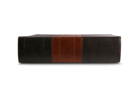 ESV Study Bible, Large Print (TruTone, Forest/Tan, Trail Design