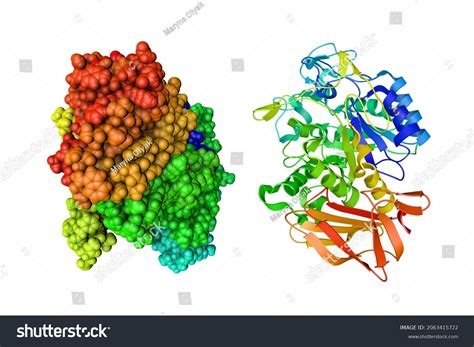 Crystal Structure Spacefilling Molecular Model Human Stock Illustration