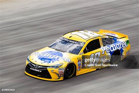 663 Kyle Busch Pedigree Stock Photos High Res Pictures And Images