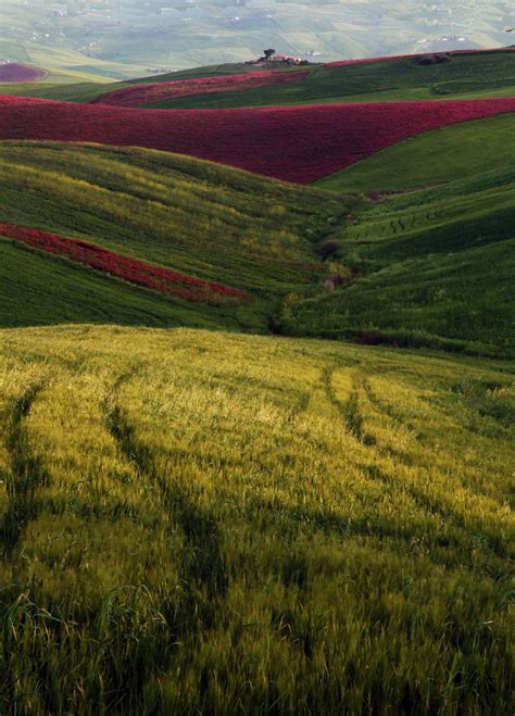 Ognuno Sta Solo Sul Cuor Della Terra Trafitto Da Un Ragg Flickr