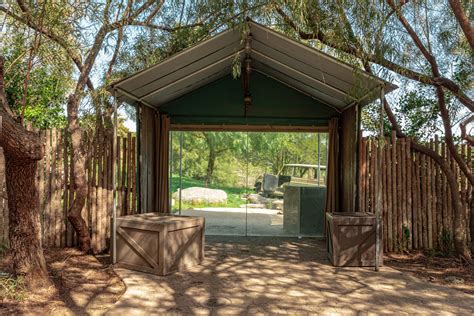 Lion Camp Research Tent View Zoochat