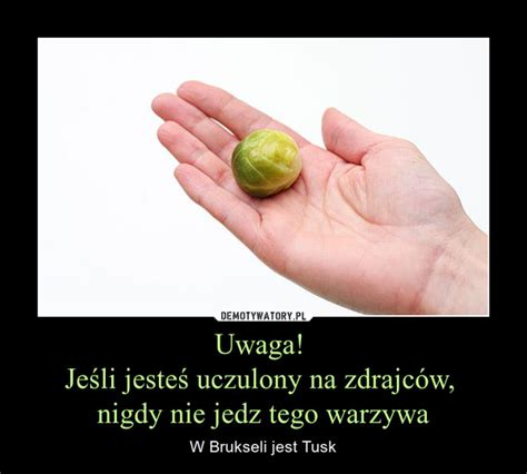 Uwaga Je Li Jeste Uczulony Na Zdrajc W Nigdy Nie Jedz Tego Warzywa