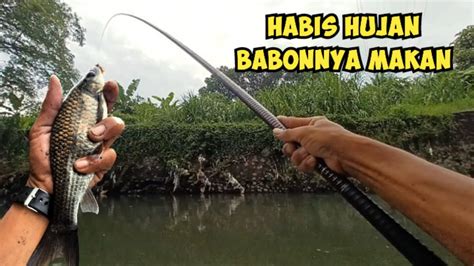 Sambaran Melem Babon Sehabis Hujan Mancing Ikan Melem TKM78 YouTube