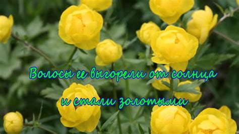 Купальница - YouTube