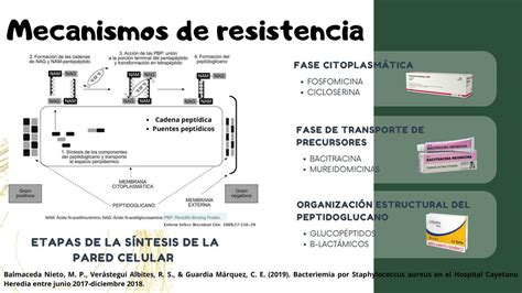 Resúmenes de Factores de resistencia Descarga apuntes de Factores de