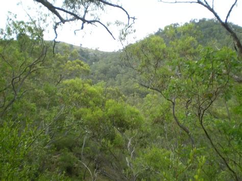 Cox's River return via Dunphy's campsite walking track