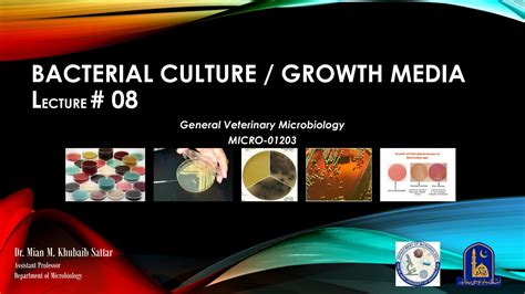 SOLUTION: Lecture 08 bacterial culture growth media - Studypool