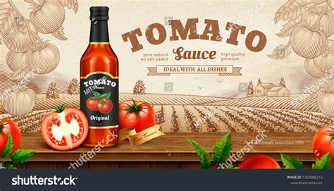 Tomato Sauce Banner Ads Engraved Nature Stock Vector Royalty Free