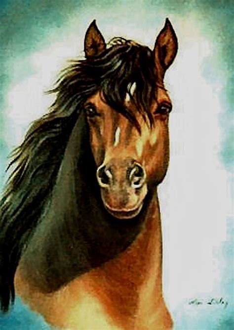 Morgan Horse Painting By Loxi Sibley