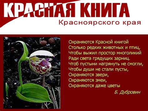 Про растения из Красной книги Красноярского края - презентация онлайн