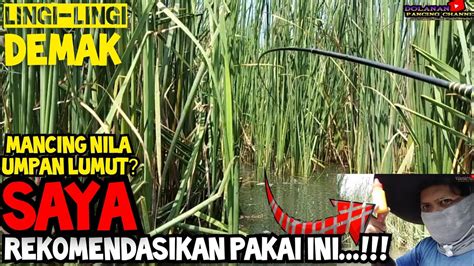 MANCING NILA REKOMENDASI PAKAI ESSEN INI MANCING NILA DEMAK HAUP HAUP