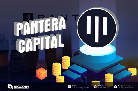 Pantera Capital là gì Tổng quan danh mục đầu tư của Pantera Capital