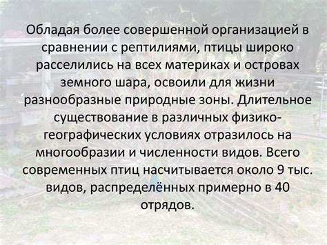 Птицы разных стран - презентация онлайн