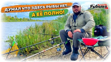 Рыбалка в Нижнем Новгороде на гребном канале.Ловля осенний рыбы на ...