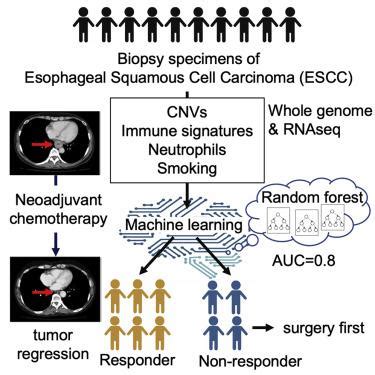 Immuno Genomic Profiling Of Biopsy Specimens Predicts Neoadjuvant