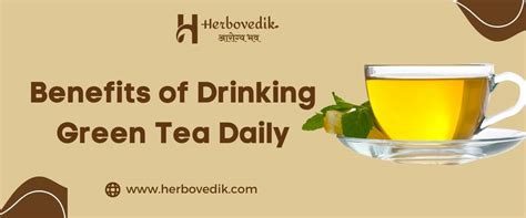 Benefits Of Drinking Green Tea Daily Herbovedik