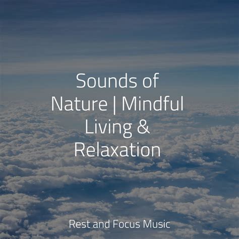 Sounds Of Nature Mindful Living Relaxation Album By Kings Of