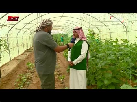 الفيديو البرنامج السعودي لتنمية وإعمار اليمن