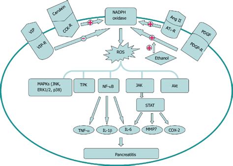 Activation And Inhibition Factors Of Nicotinamide Adenine Dinucleotide Download Scientific