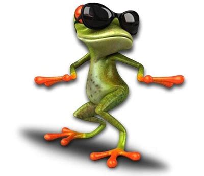 NAKLEJKA ŻABA SUPER FROG CZARNA W OKULARACH UV 7363533978 oficjalne