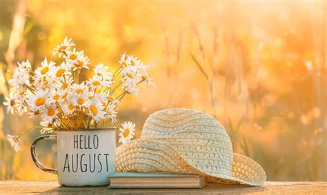 august landscape images stock  vectors adobe stock