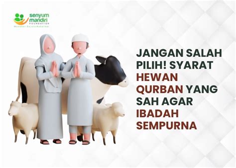 Jangan Salah Pilih Ini Syarat Hewan Qurban Yang Sah Senyum Mandiri