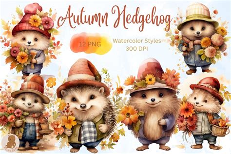 Autumn Hedgehog Watercolor Clipart Graphic by bellybear2023 · Creative Fabrica