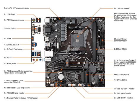 GIGABYTE A520M S2H AM4 Micro ATX AMD Motherboard - Newegg.ca