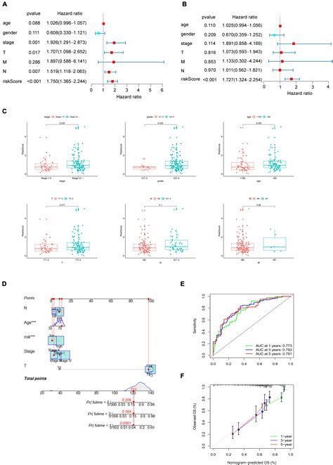 Frontiers An Enhancer Rna Based Risk Model For Prediction Of Bladder