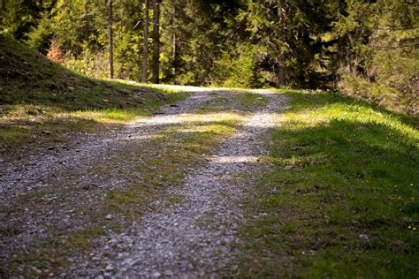 Free Images Landscape Tree Grass Wilderness Plant Meadow