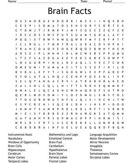 Brain Facts Word Search Wordmint